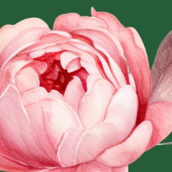 Carte - Maison Bohème - restaurant Marseille - Marseille Brunch Dimanche  - Restaurant instagrammable Marseille - Marseille Brunch Dimanche